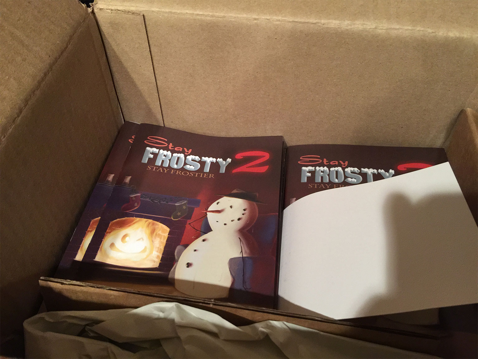 Stay-Frosty-2-Manuals-In-Box.jpg