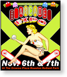Houston Arcade Expo - November 6th/7th 