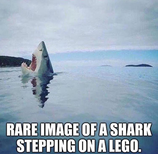 stepping shark lego.jpg