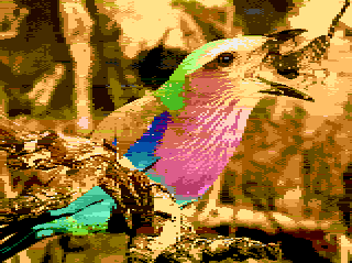 Birdfood.png