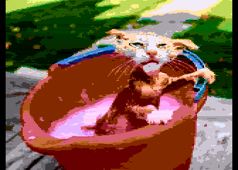 sheddy_bucket_water_cat.png.4a8be00d2b905505f82e9cac82bea9be.png