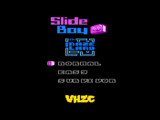 Slide Boy in Maze Land Screenshot